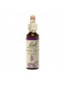 fleur de Bach original Water Violet