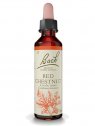 FLEUR DE BACH ORIGINAL RED CHESTNUT