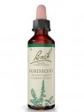 FLEUR DE BACH ORGINAL AGRIMONY